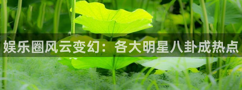 焦点娱乐登录