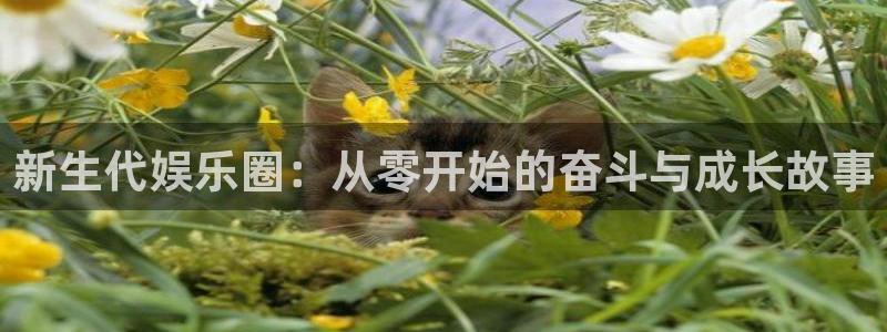 焦点娱乐网