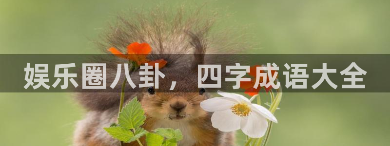 焦点娱乐登录