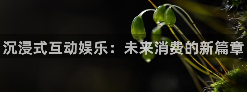 焦点娱乐注册