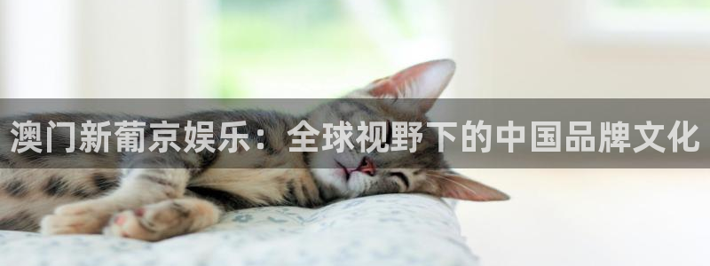 焦点娱乐网